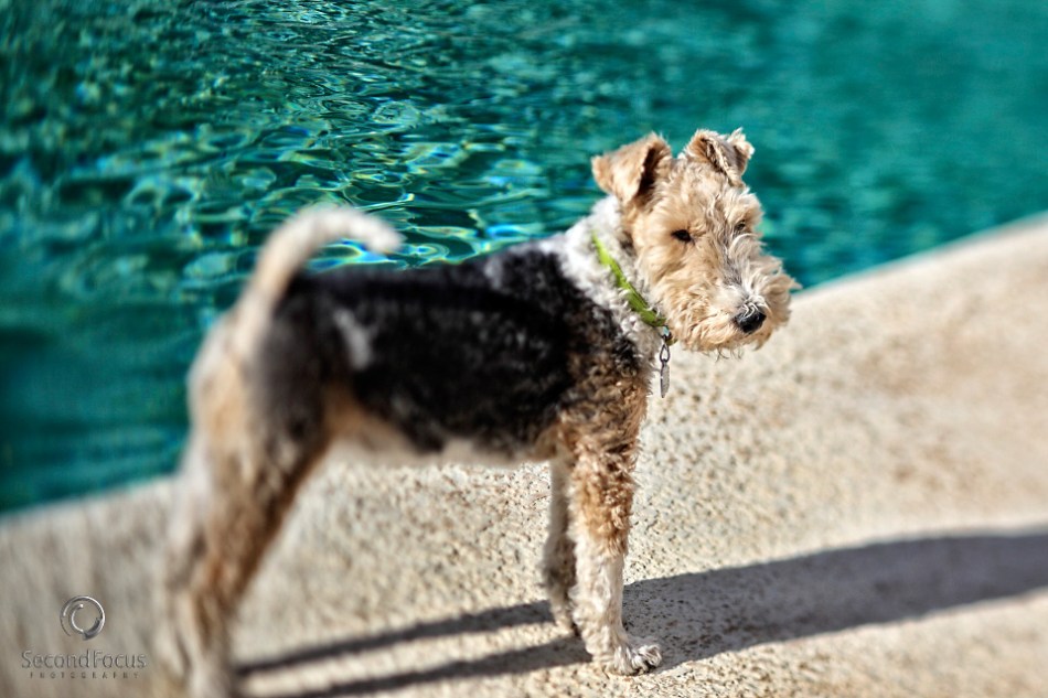 The Girl In Charge Turned 14 Today!