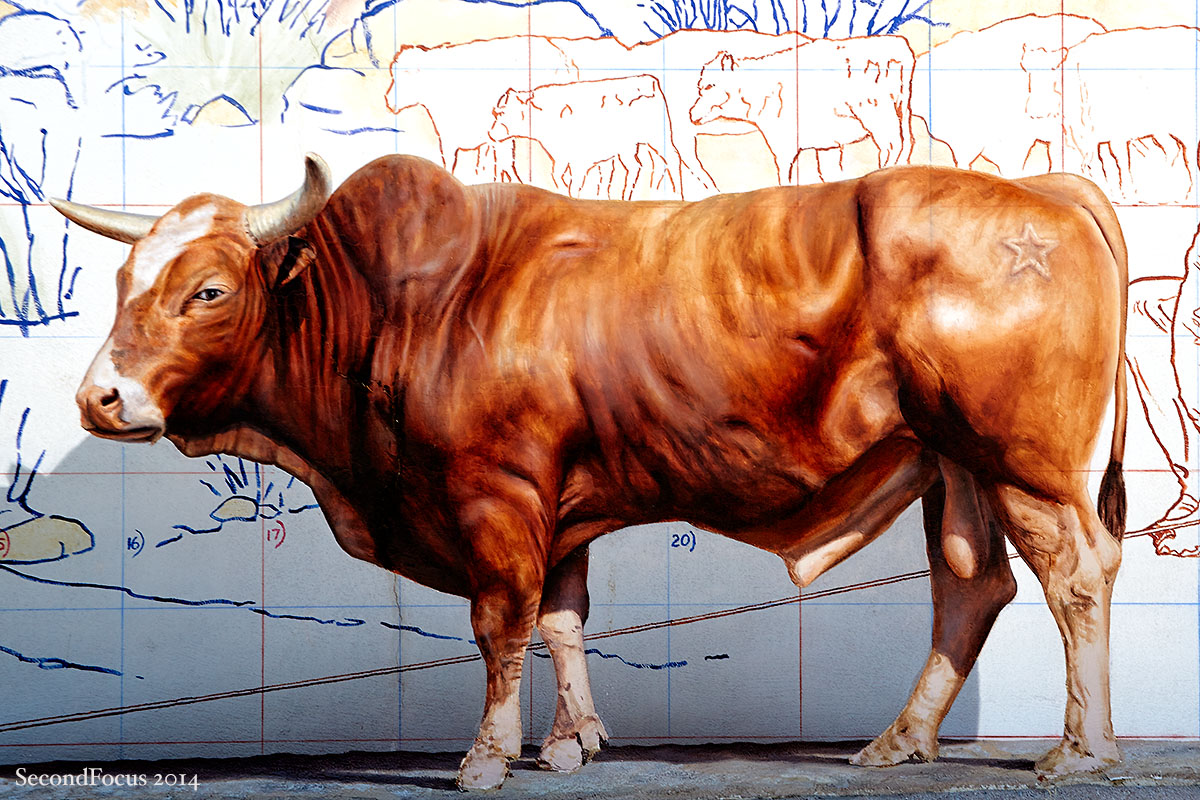 My New Shelter Watch Dog