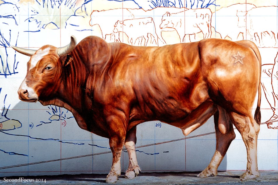 My New Shelter Watch Dog