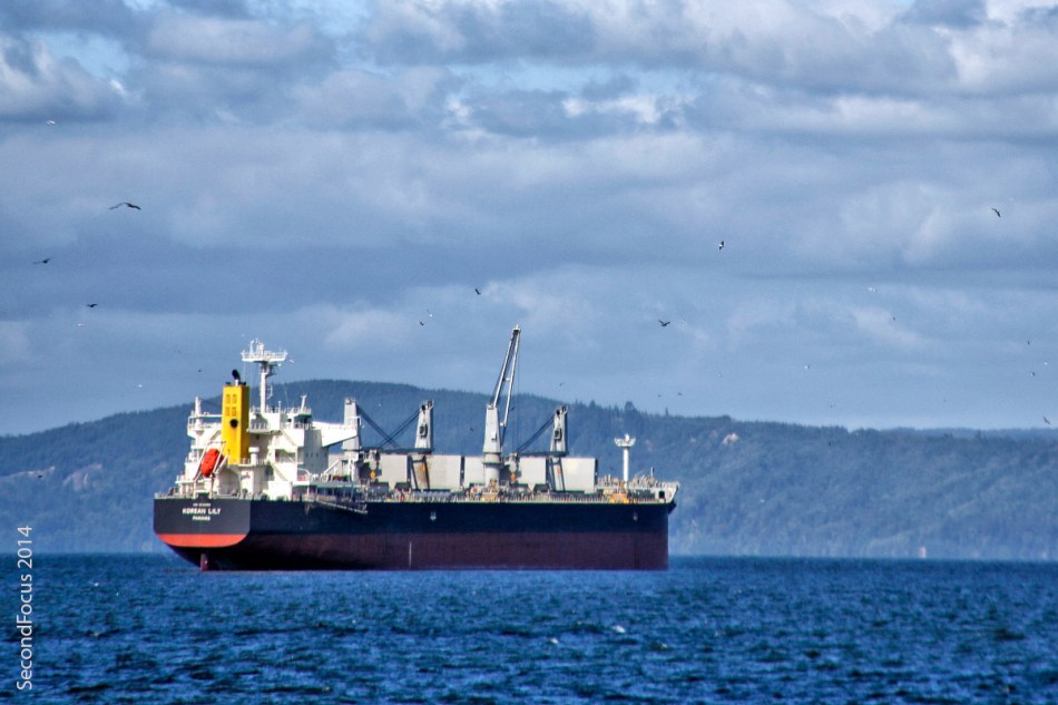 Ship In The Harbor In Astoria Oregon
