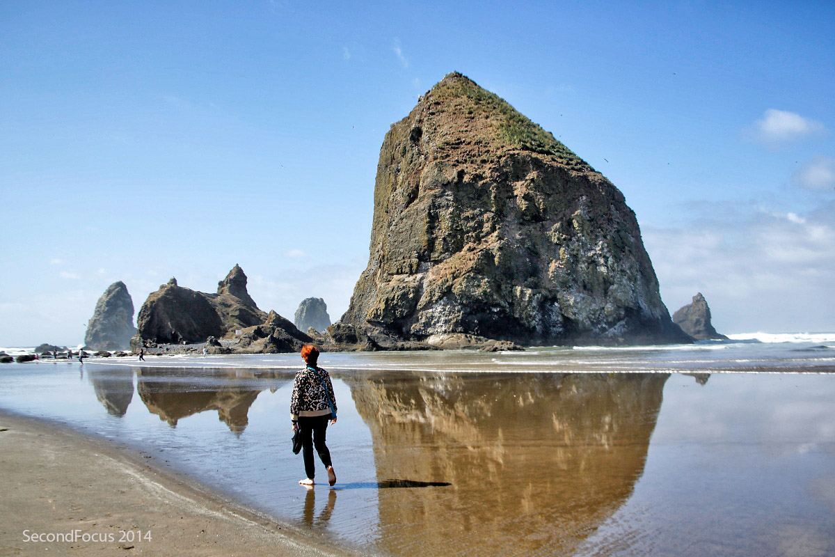 Rosie At Haystack Rock At Cannon Beach Oregon