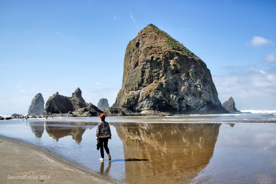 Rosie At Haystack Rock At Cannon Beach Oregon