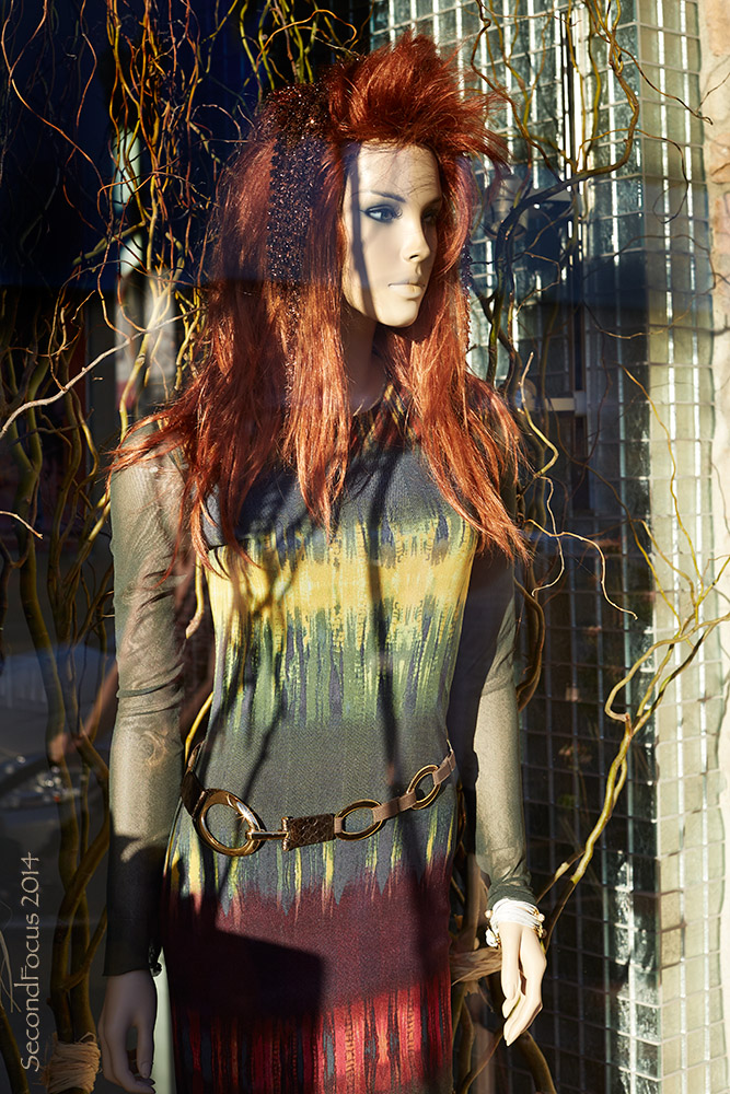 El Paseo Store Window