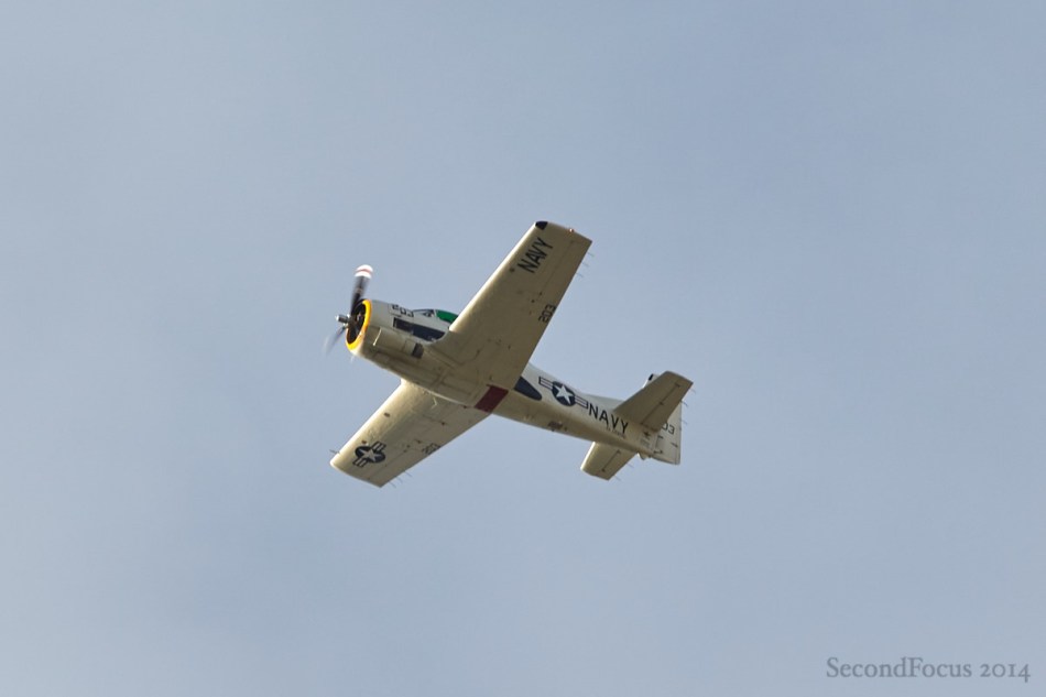 Flying for Veterans Day