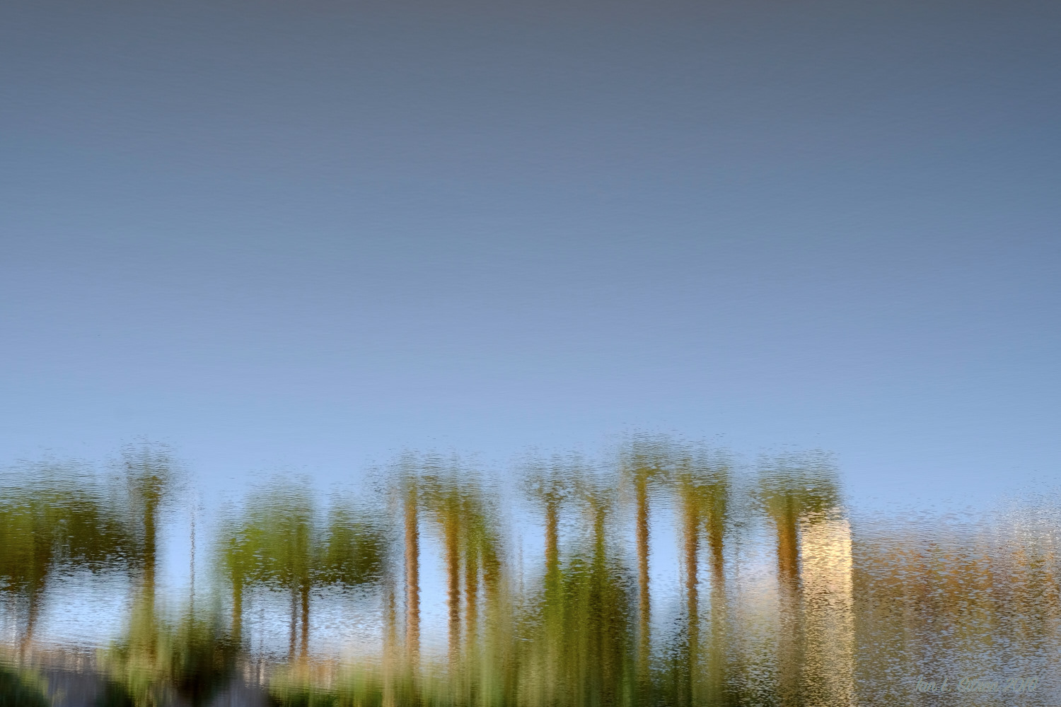 Salton_Sea-08_29-2016_DSF6004