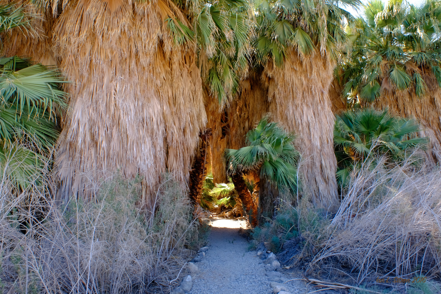 Salton_Sea-08_29-2016_DSF6011