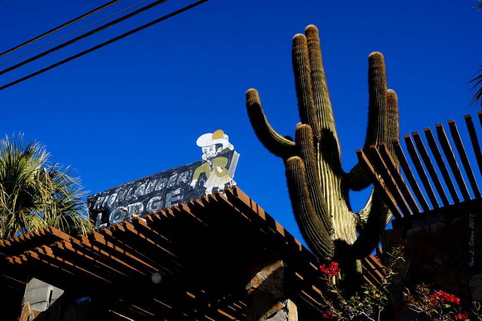 Highlander Lodge Sign And Cactus