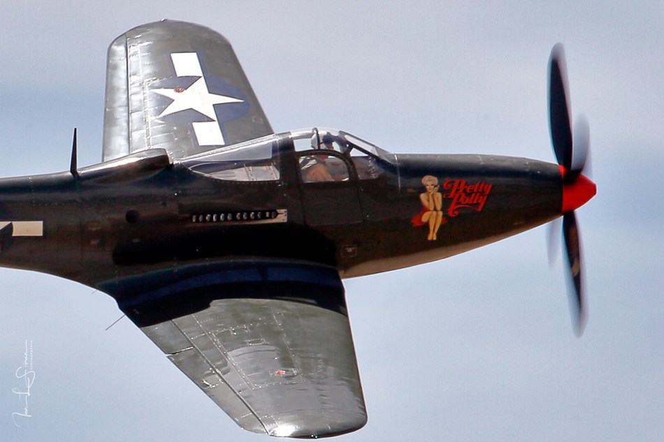 Pretty_Polly-Chino_DM41469-sm