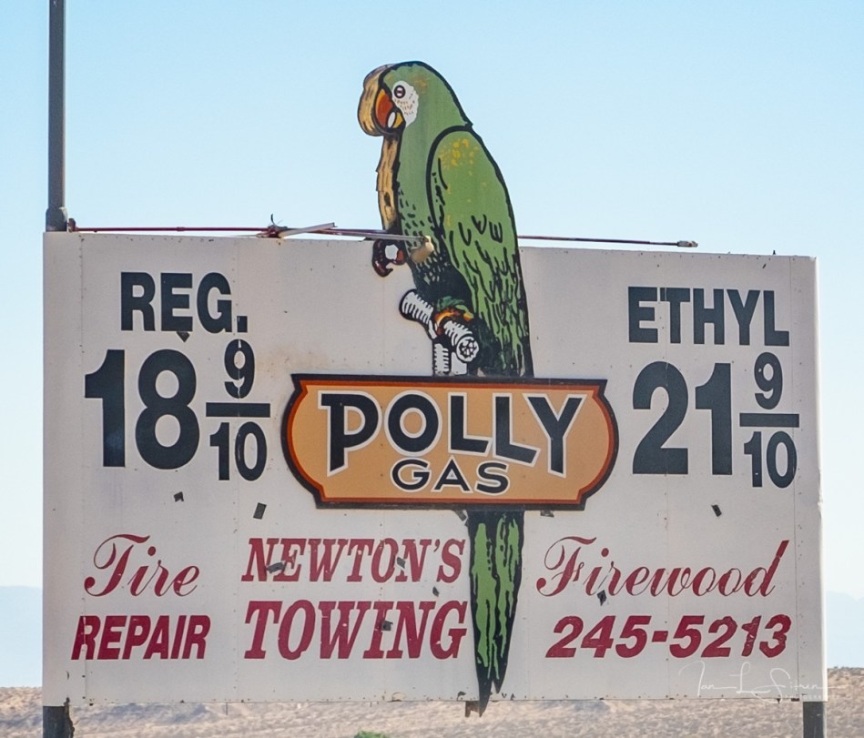 Polly_Gas-20180620-_DSF8739