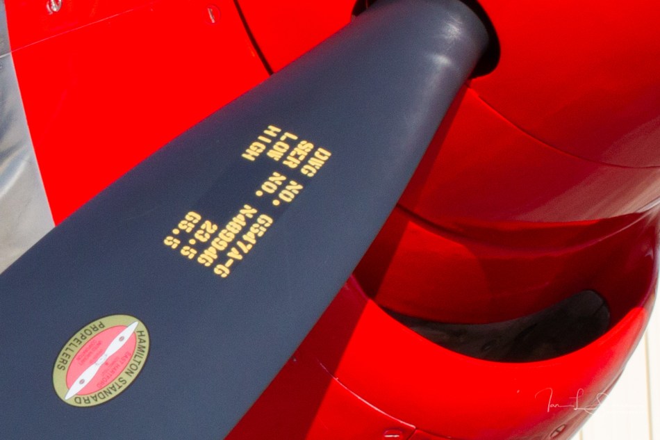 Sigma_P51-crop-20180901-_DM40004