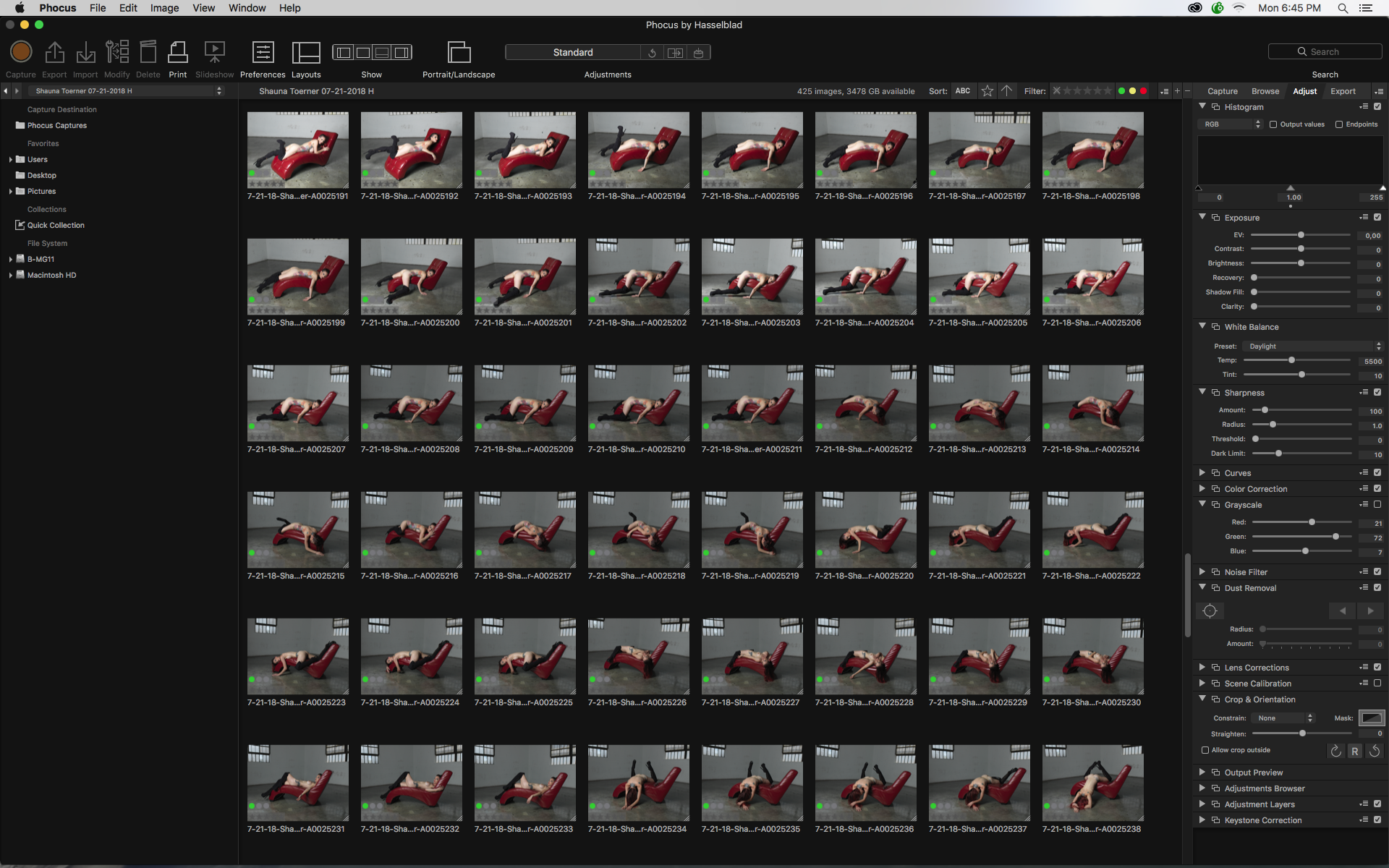 Shauna Toerner Phocus