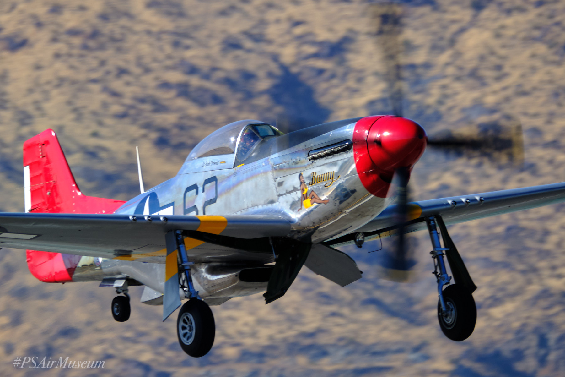 Bunny-Takeoff_DSF1041